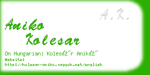 aniko kolesar business card